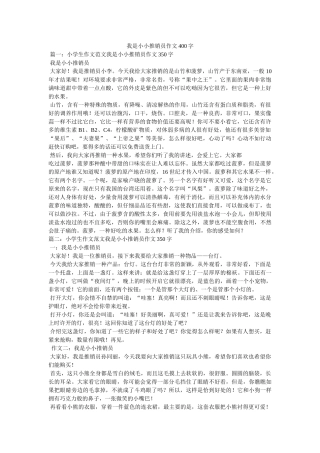 我是小小推销员作文400字 