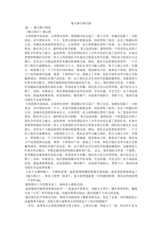 偷天换日观后感 