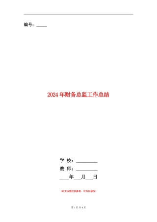2024年财务总监工作总结【新版】