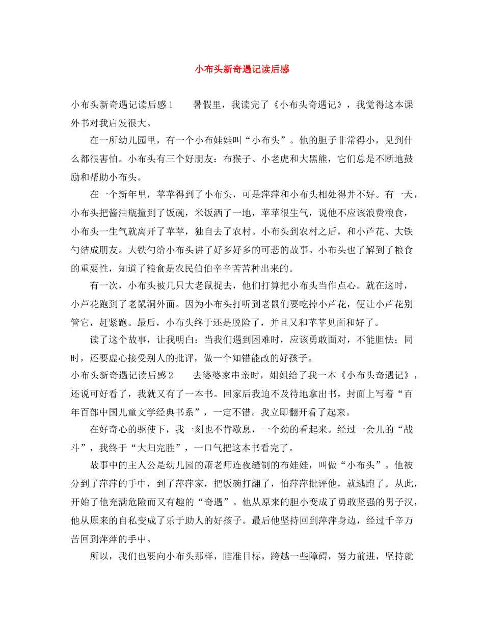小布头新奇遇记读后感 _第1页