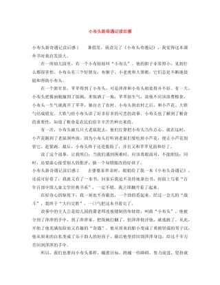小布头新奇遇记读后感 