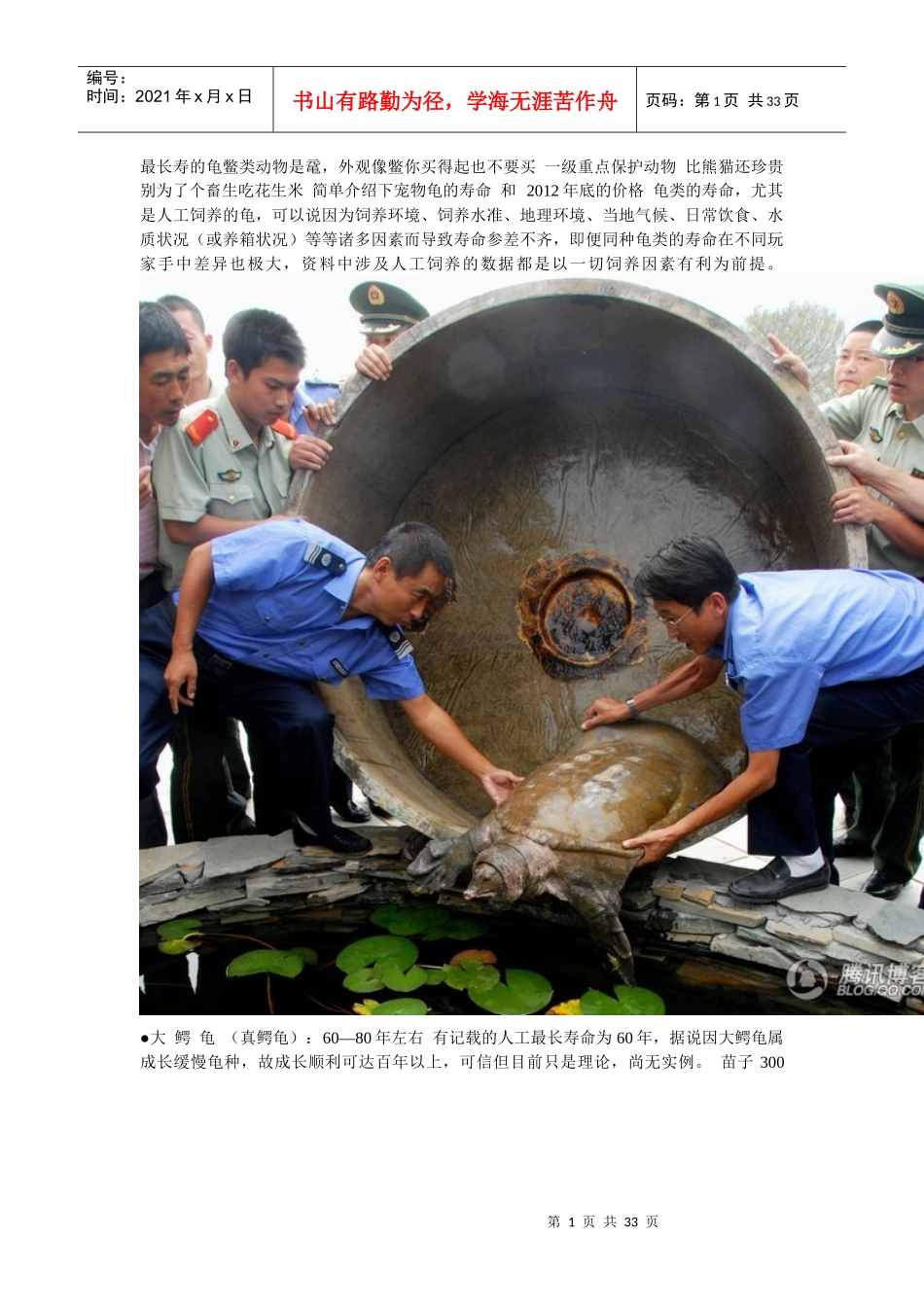 宠物龟寿命及价格_第1页