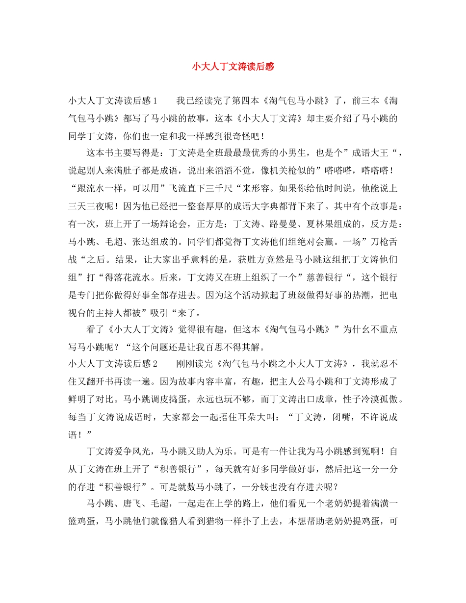 小大人丁文涛读后感 _第1页