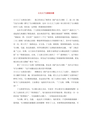 小大人丁文涛读后感 