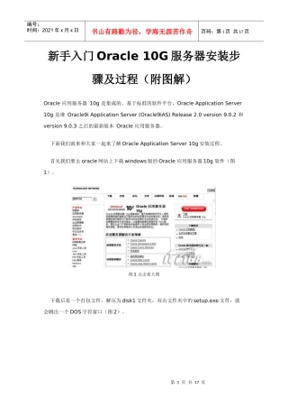 入门级Oracle 10G服务器安装步骤及过程(附图解)