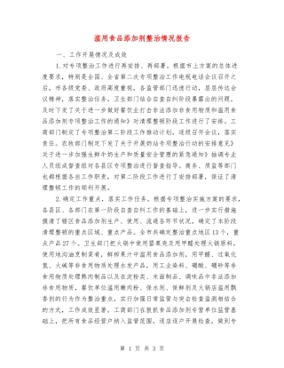 滥用食品添加剂整治情况报告