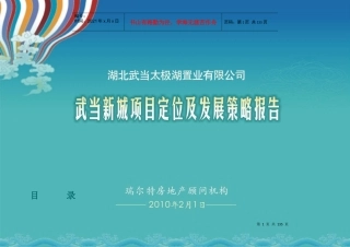 太极湖项目管理及市场调研定位报告