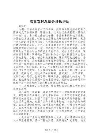 农业农村总结会县长讲话