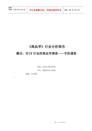 商品学IT产业报告