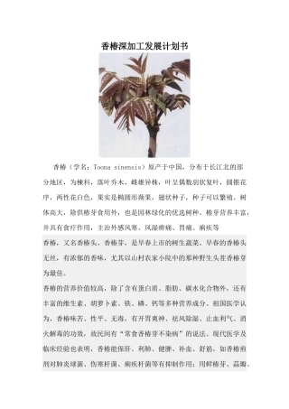 农副产品营销策划香椿深加工发展计划书范本