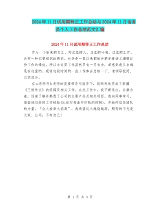 2024年11月试用期转正工作总结与2024年11月话务员个人工作总结范文汇编