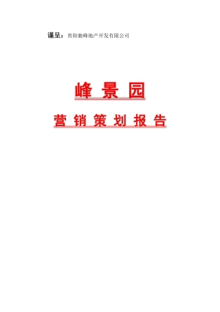 峰景园营销策划报告