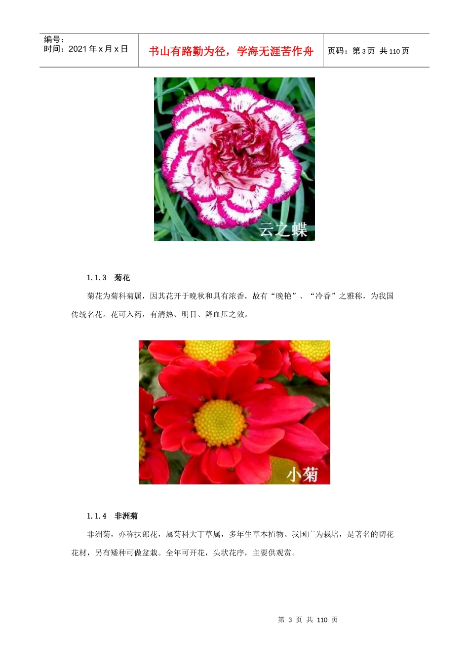 出口花卉技术指南_第3页