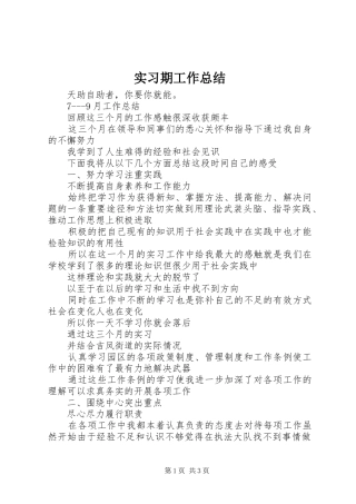 实习期工作总结