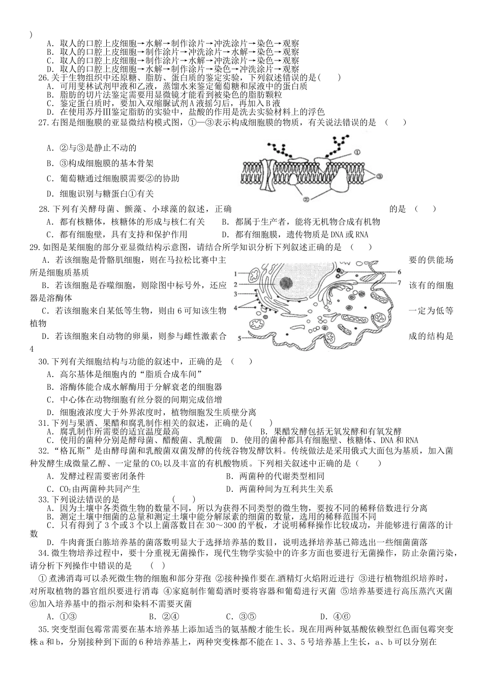 四川省树德高二5月月考生物试题及答案 _第3页