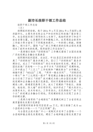 副市长挂职干部工作总结