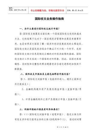 国际收支业务操作指南