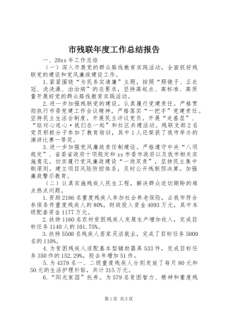 市残联年度工作总结报告