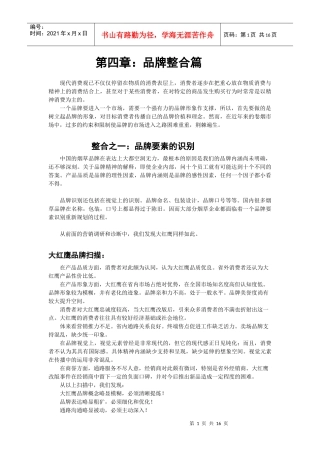 大红鹰品牌营销策划10(1)