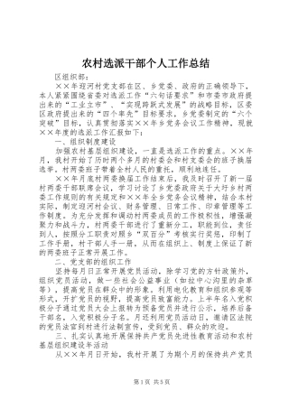 农村选派干部个人工作总结