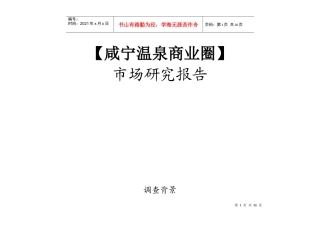 咸宁(温泉)商业市场调研报告