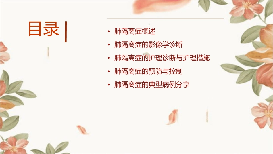 肺隔离症的影像诊断护理课件_第2页