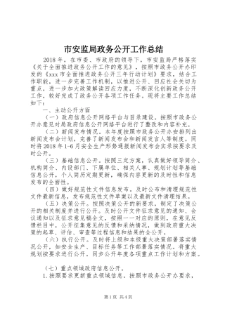 市安监局政务公开工作总结