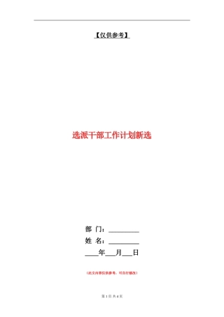 选派干部工作计划新选