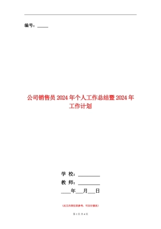 公司销售员2024年个人工作总结暨2024年工作计划