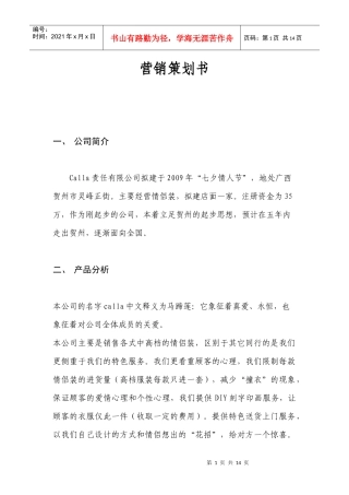 情侣装的营销策划书