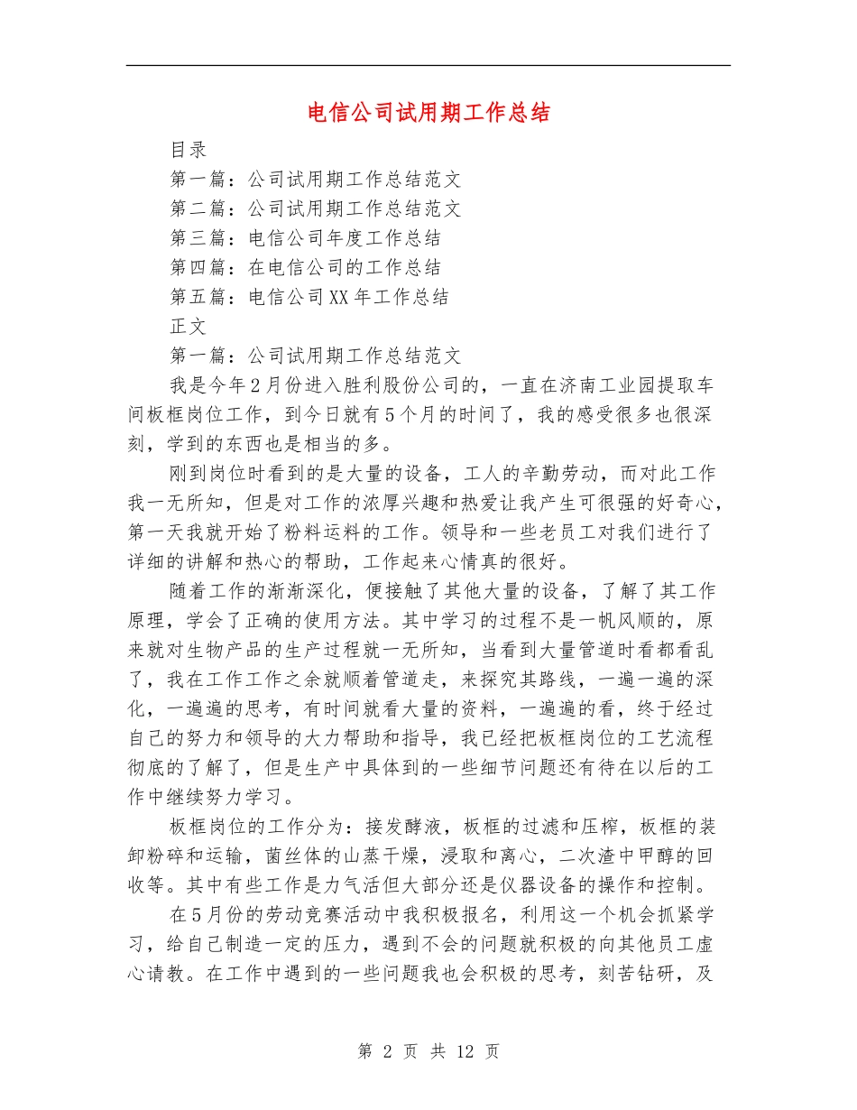 电信公司试用期工作总结_第2页
