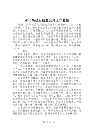 审计局政府信息公开工作总结