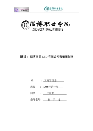 LED有限公司营销策划书
