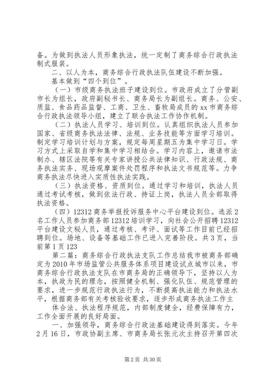 商务综合行政执法支队的工作总结_第2页