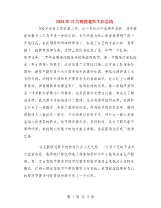 2024年12月高校教师工作总结
