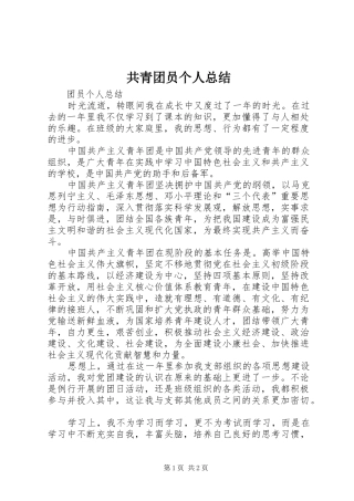 共青团员个人总结