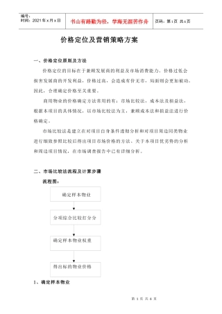 价格定位及营销策略方案