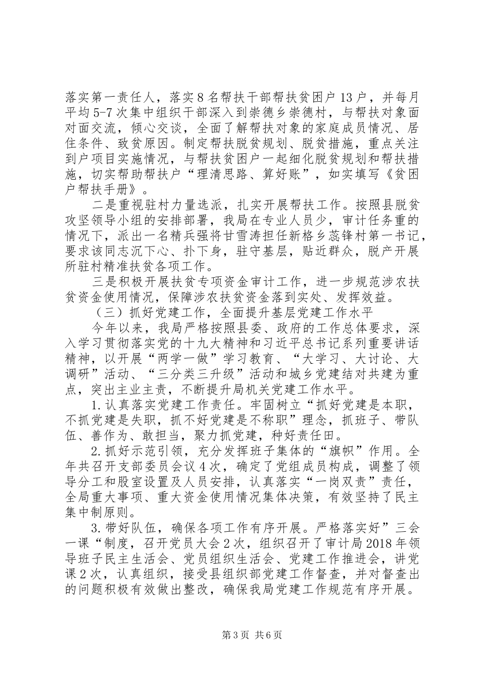 审计局XX年度班子工作总结_第3页