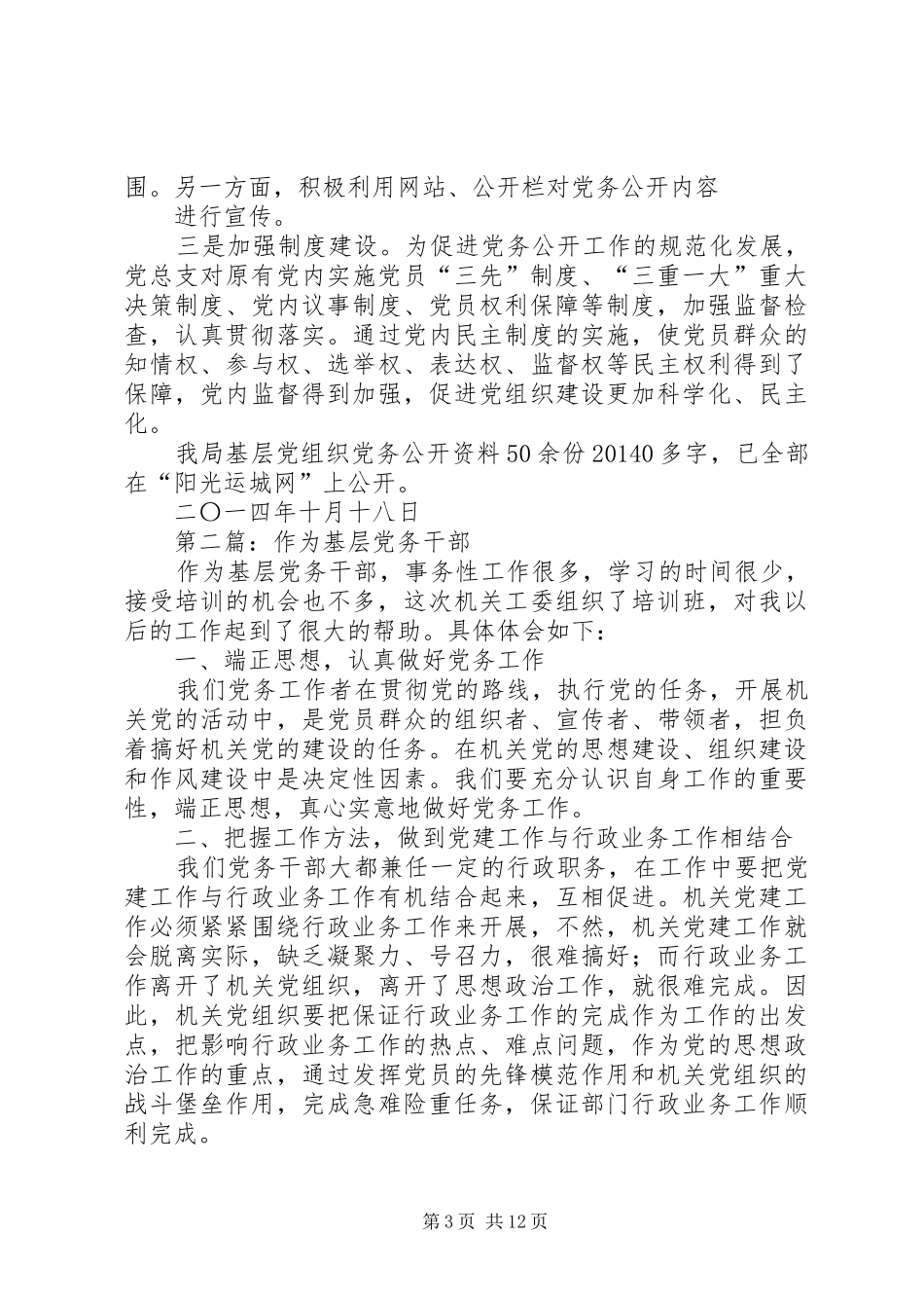 基层干部党务工作总结(精选多篇)_第3页