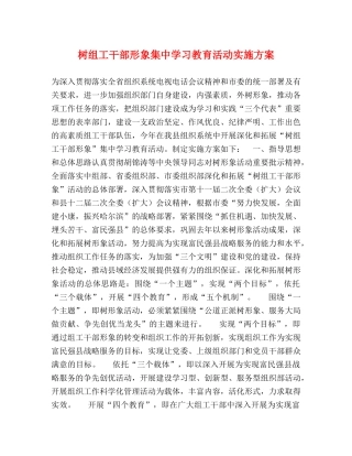 树组工干部形象集习教育活动实施方案 