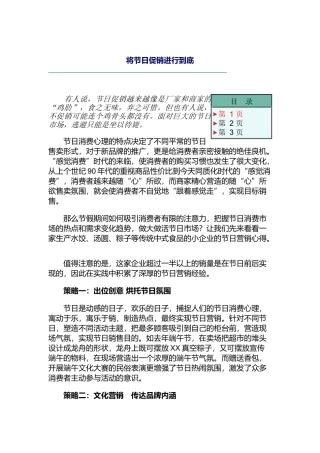 将节日促销进行到底（DOC 16页）