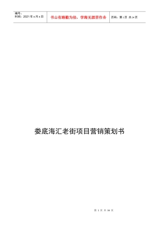 娄底老街项目营销策划书