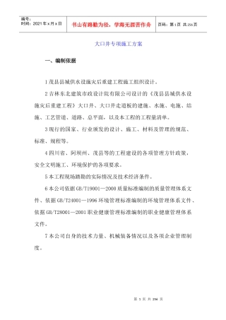 大口井专项施工方案
