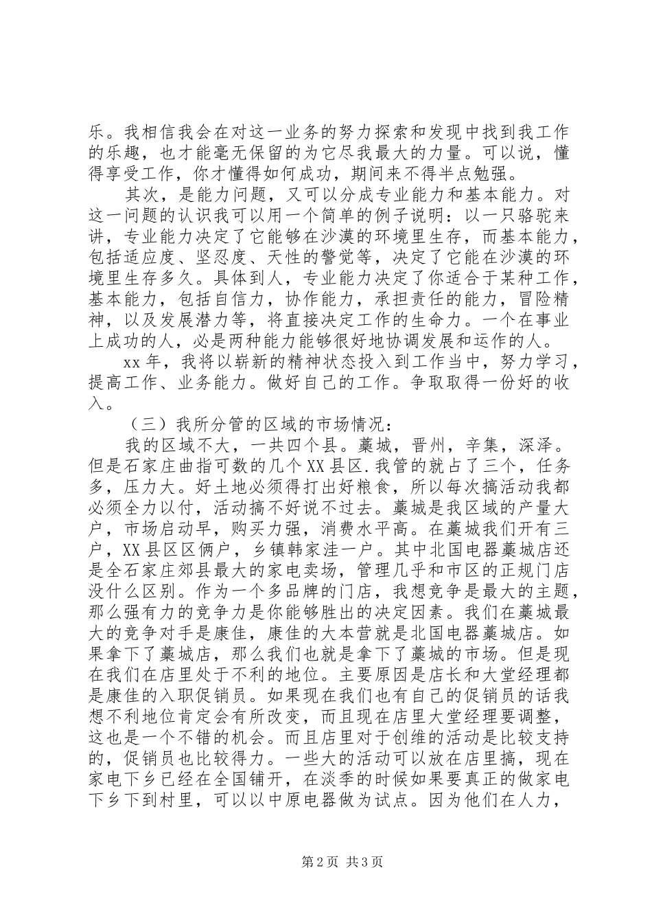 市场推广员个人工作总结范文_第2页