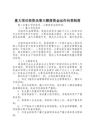 重大项目投资决策大额度资金运作问责规章制度管理