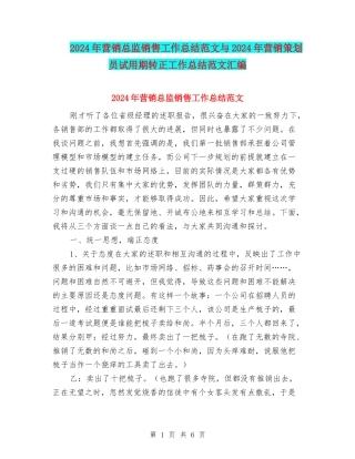 2024年营销总监销售工作总结范文与2024年营销策划员试用期转正工作总结范文汇编