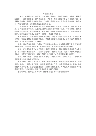 野草高ۥ三作文精选 
