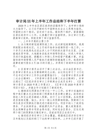 审计局XX年上半年工作总结和下半年打算