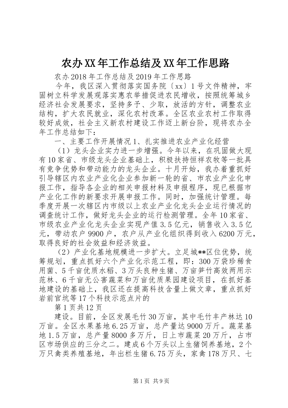 农办XX年工作总结及XX年工作思路_第1页
