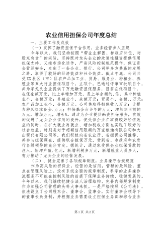 农业信用担保公司年度总结
